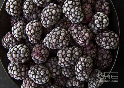 فروش تمشک منجمد