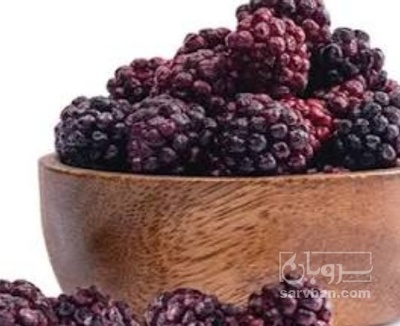 فروش بلک بری منجمد