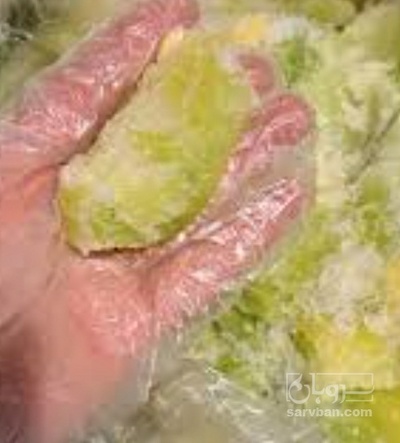 فروش طالبی منجمد