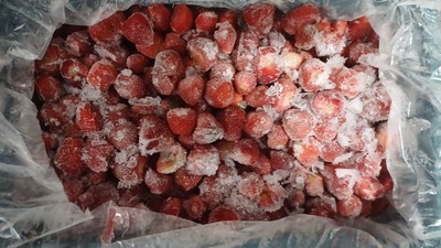 فروش توت فرنگی منجمد