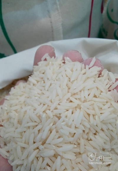 فروش برنج شیرودی