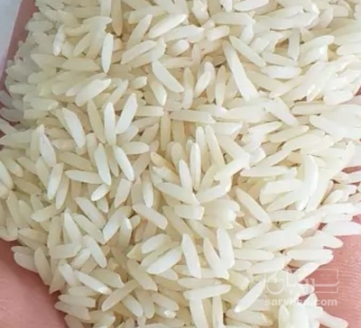 فروش برنج هاشمی