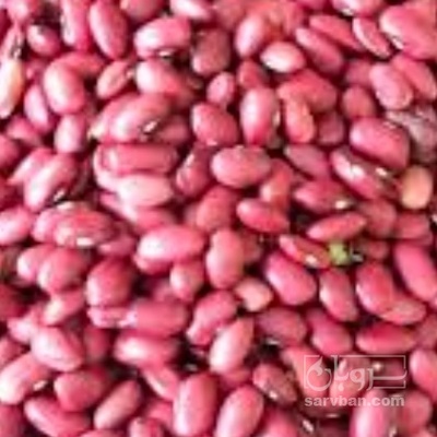 فروش لوبیا قرمز