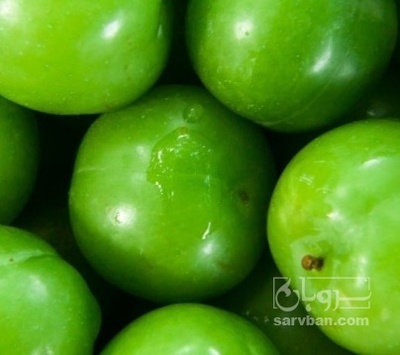 فروش گوجه سبز