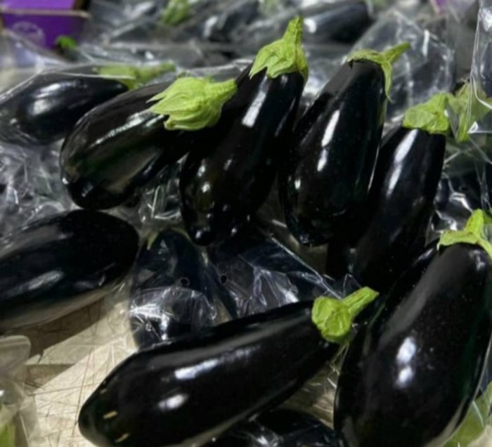 فروش بادمجان