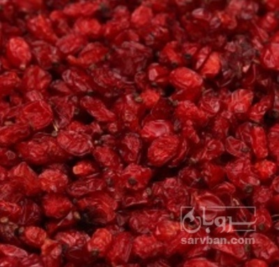 فروش زرشک زیر تالاری