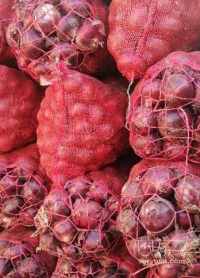 فروش پیاز قرمز