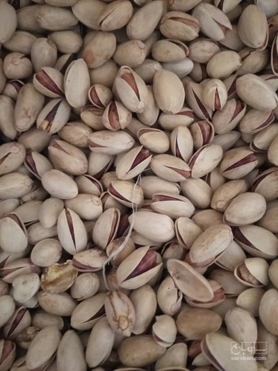 فروش پسته احمد اقایی