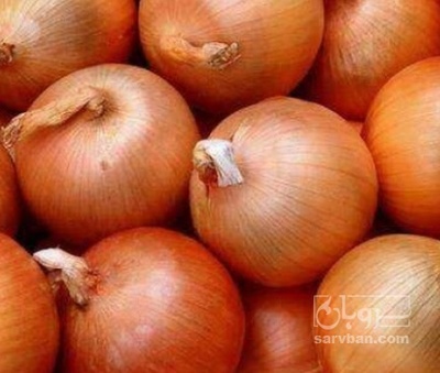 فروش پیاز زرد
