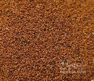 فروش خاکشیر (گیاه‌ دارویی)