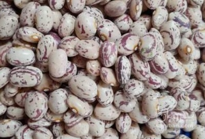 فروش لوبیا چیتی