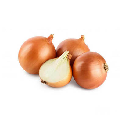 فروش پیاز زرد