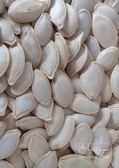 فروش تخمه  کدو خام