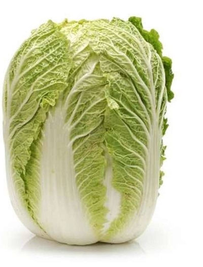فروش کاهو چینی