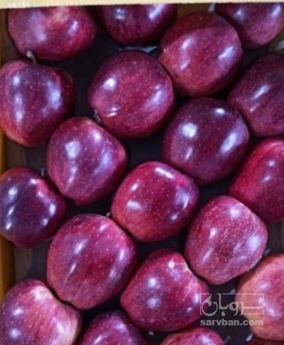فروش سیب قرمز