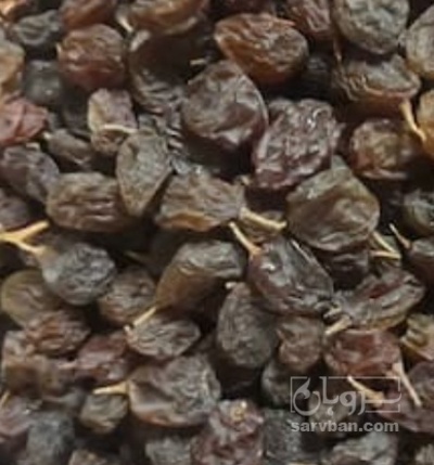 فروش کشمش  ابگیری