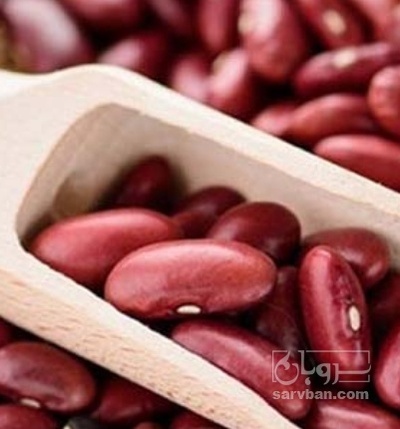 فروش لوبیا قرمز