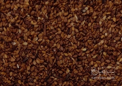 فروش کنجد قهوه ایی پوست کنده