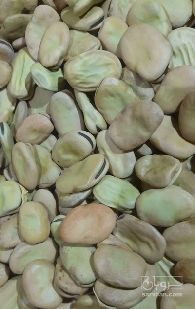 فروش باقلاخشک دو بند