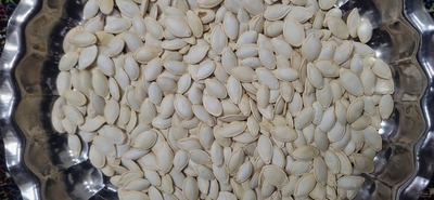 فروش تخمه  کدو خام