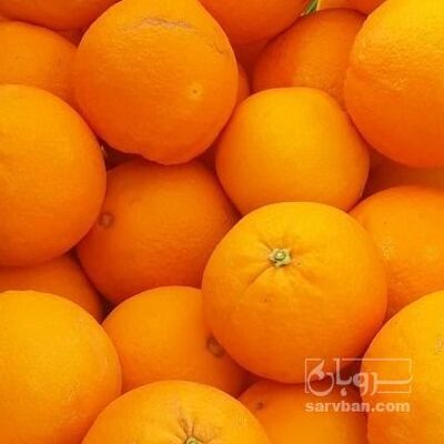 فروش پرتقال تامسون