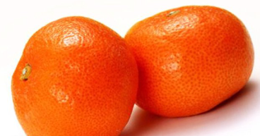 فروش نارنگی