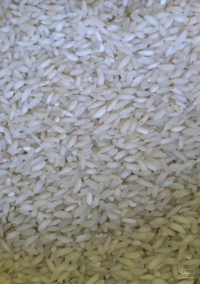 فروش برنج