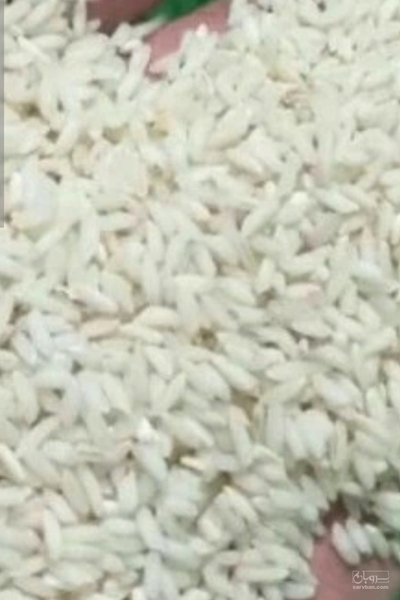 فروش برنج