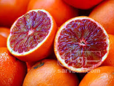 فروش پرتقال خونی