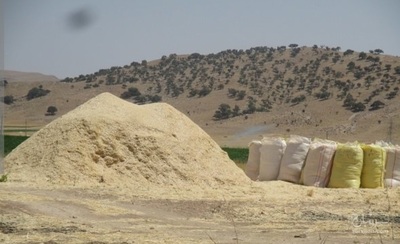 فروش کاه و کلش گندم