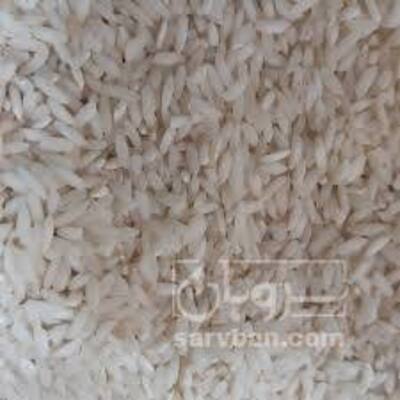 فروش برنج چمپا