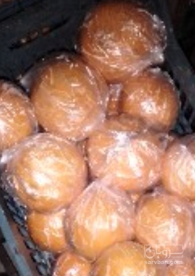 فروش پرتقال تامسون