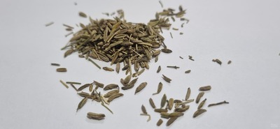 فروش زیره (گیاه‌ دارویی)