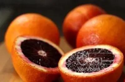 فروش پرتقال خونی