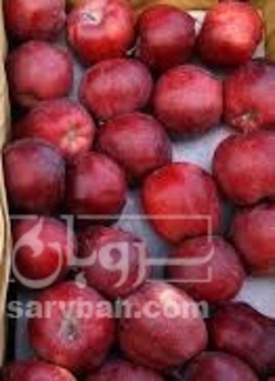 فروش سیب قرمز