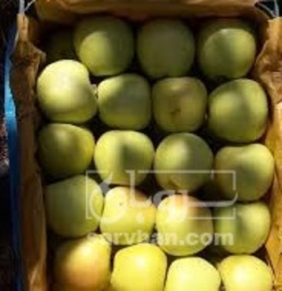 فروش سیب زرد