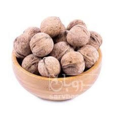 فروش گردو