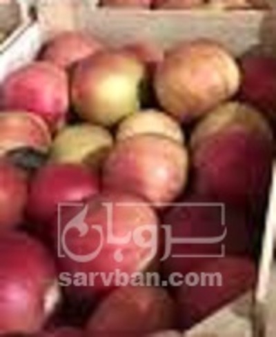 فروش سیب