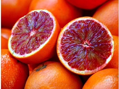 فروش پرتقال خونی