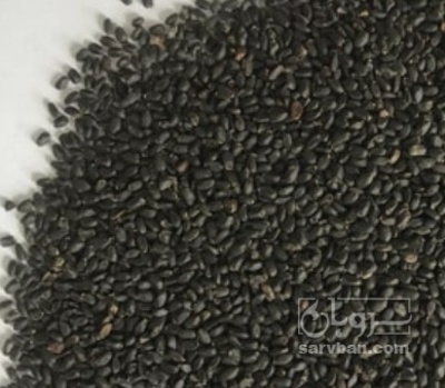 فروش  بذرریحان (گیاه‌ دارویی)