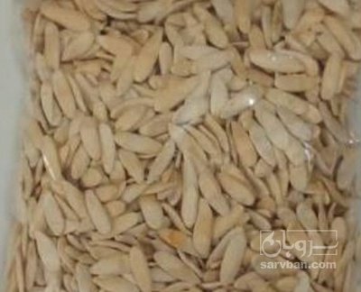 فروش بذر خیار
