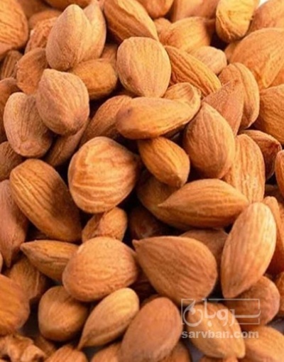 فروش هسته زردآلو