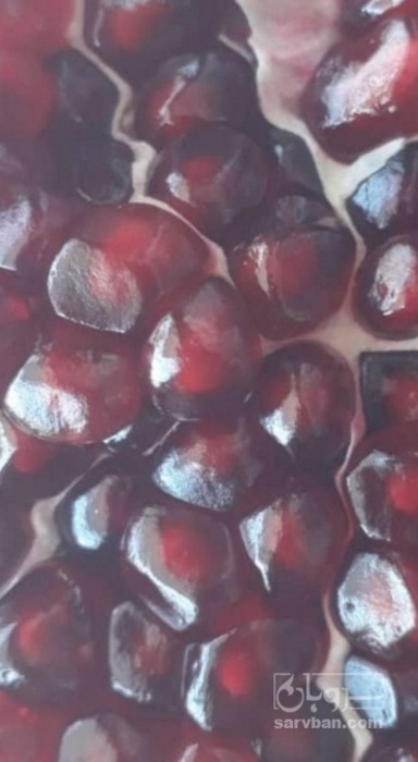 فروش انار