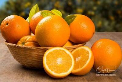 فروش پرتقال تامسون