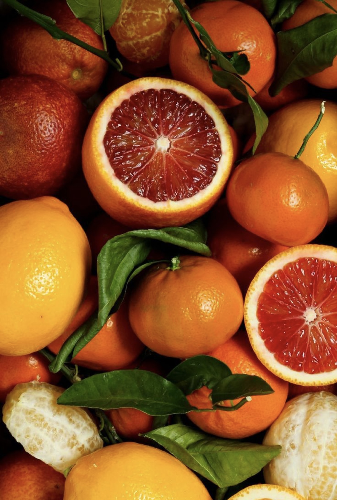 فروش پرتقال خونی