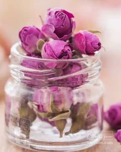 فروش گل محمدی داراب (گیاه‌ دارویی)