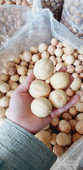 فروش لیمو عمانی (گیاه‌ دارویی)