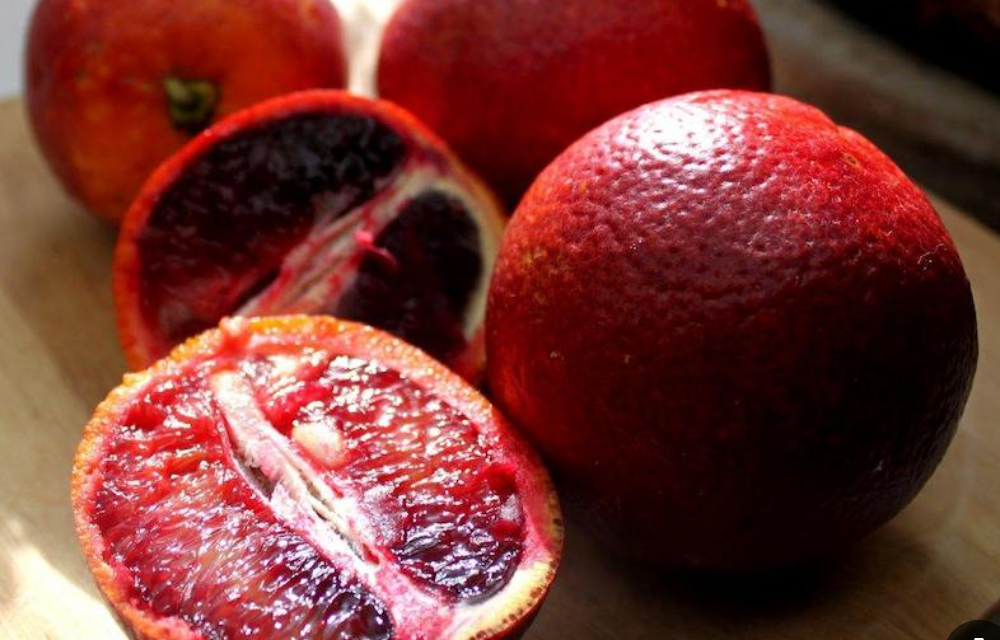 فروش پرتقال خونی