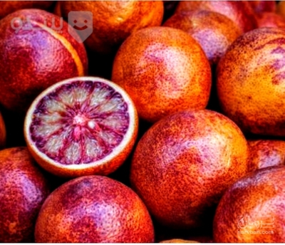 فروش پرتقال خونی