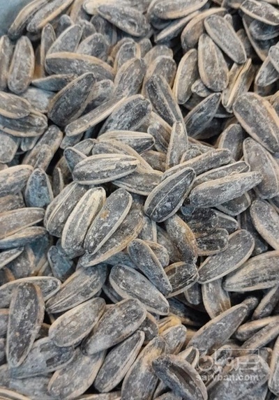 فروش تخمه آفتابگردان